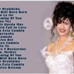 Selena Quintanilla caratula disco con su vestido de los grammy